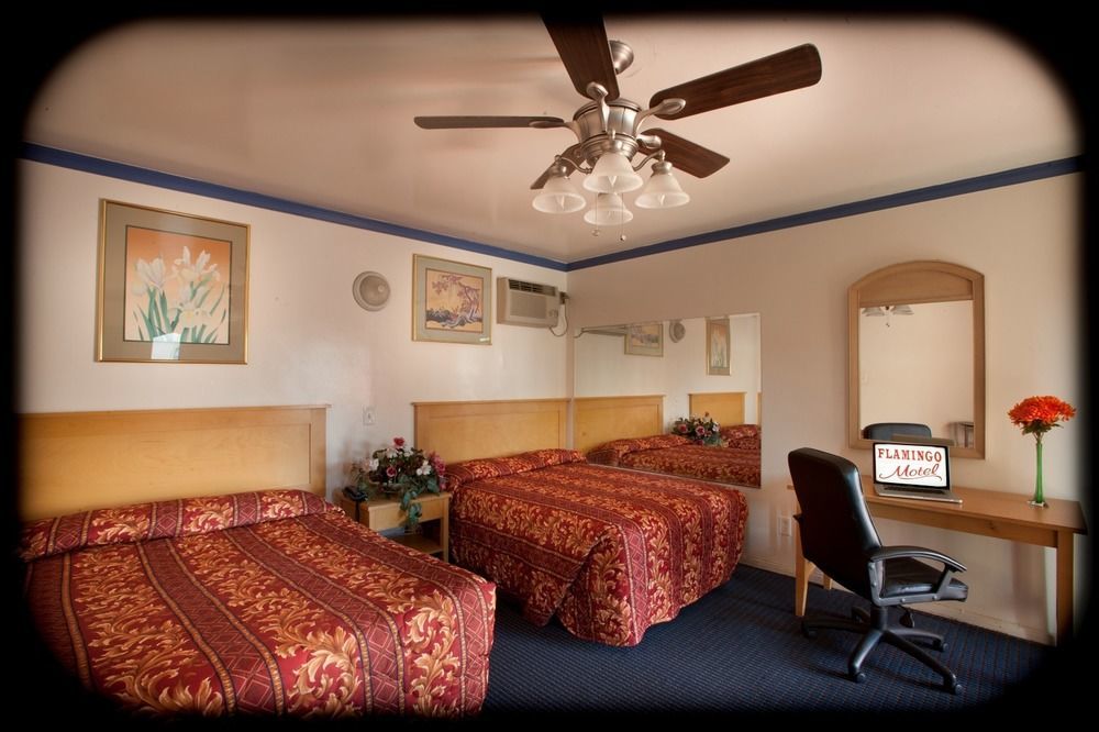 Flamingo Motel אוקסנארד מראה חיצוני תמונה